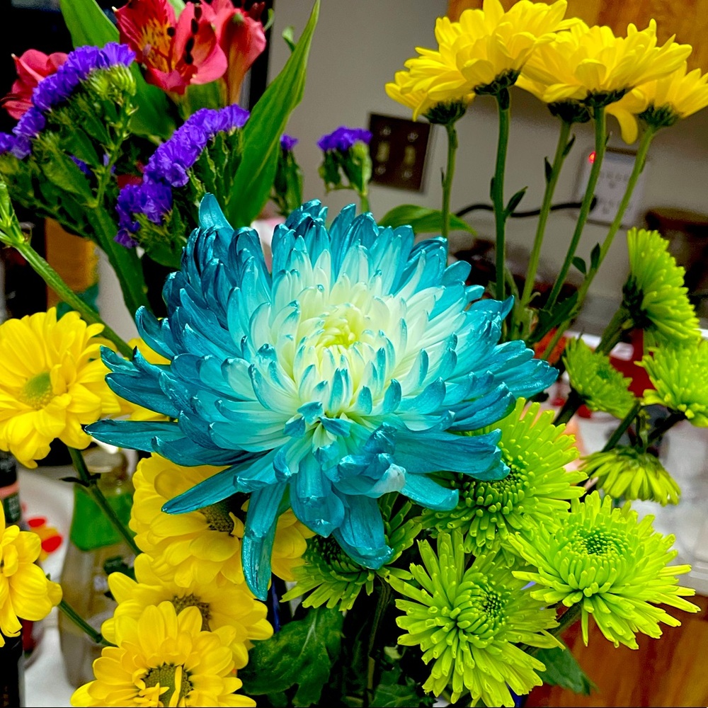 Meet your Posher, Maria